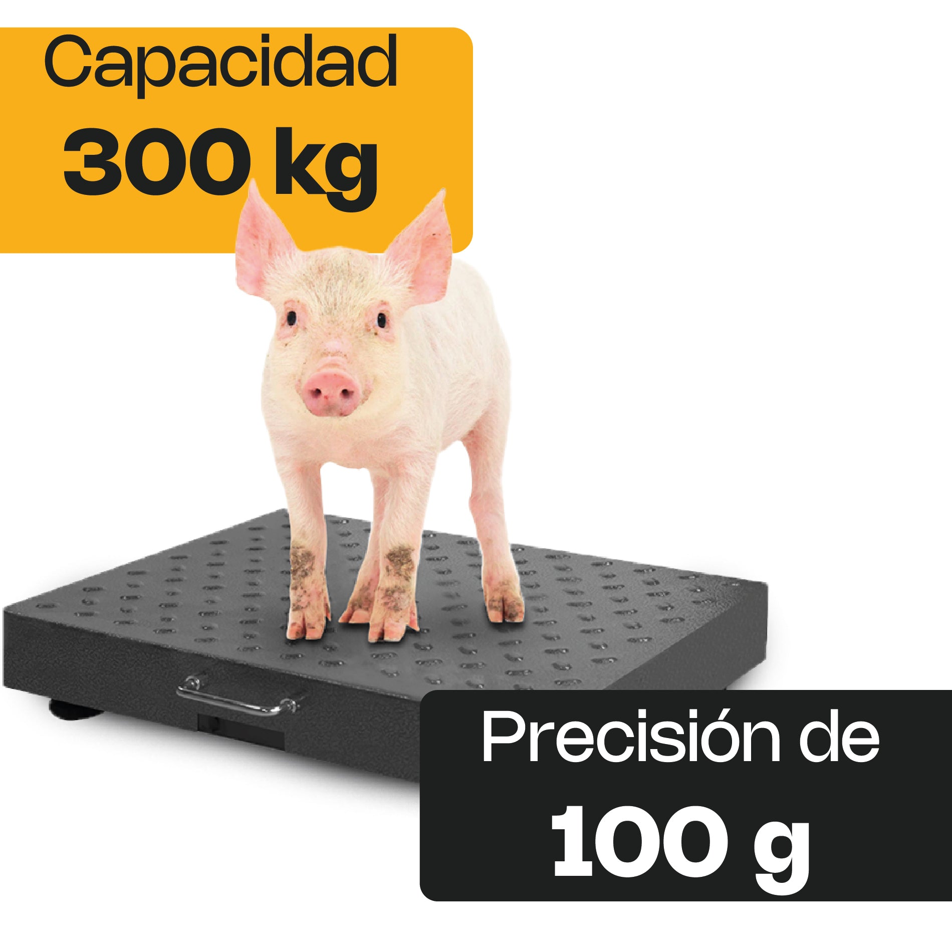 BAPIC-300