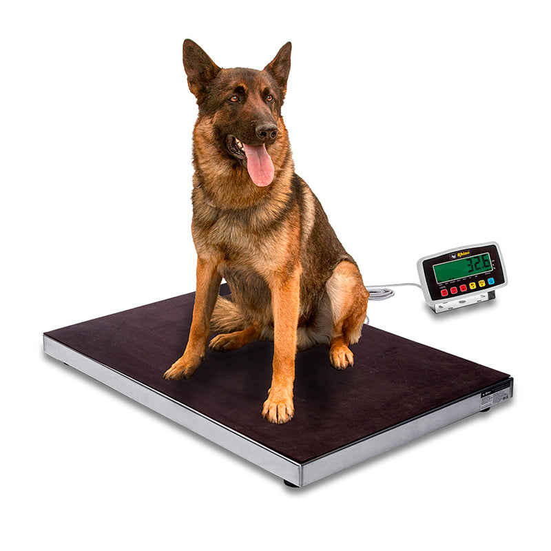 BASCULA VETERINARIA BAVET-200