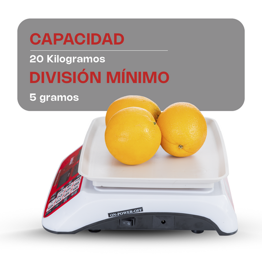 VINS-20